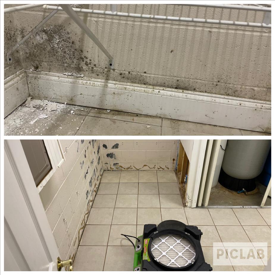 white wall with green mold and green machine on white tile floor